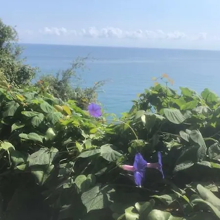 About View Agios Ioannis Papa Nero Ferienhaus *