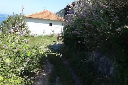 About View Agios Ioannis Papa Nero *